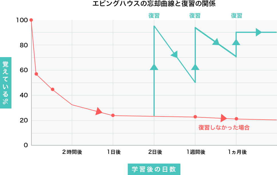 エビングハウスの忘却曲線と復習の関係